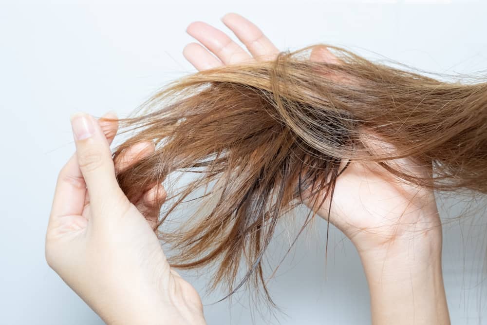 راه حل قطعی درمان موهای خشک